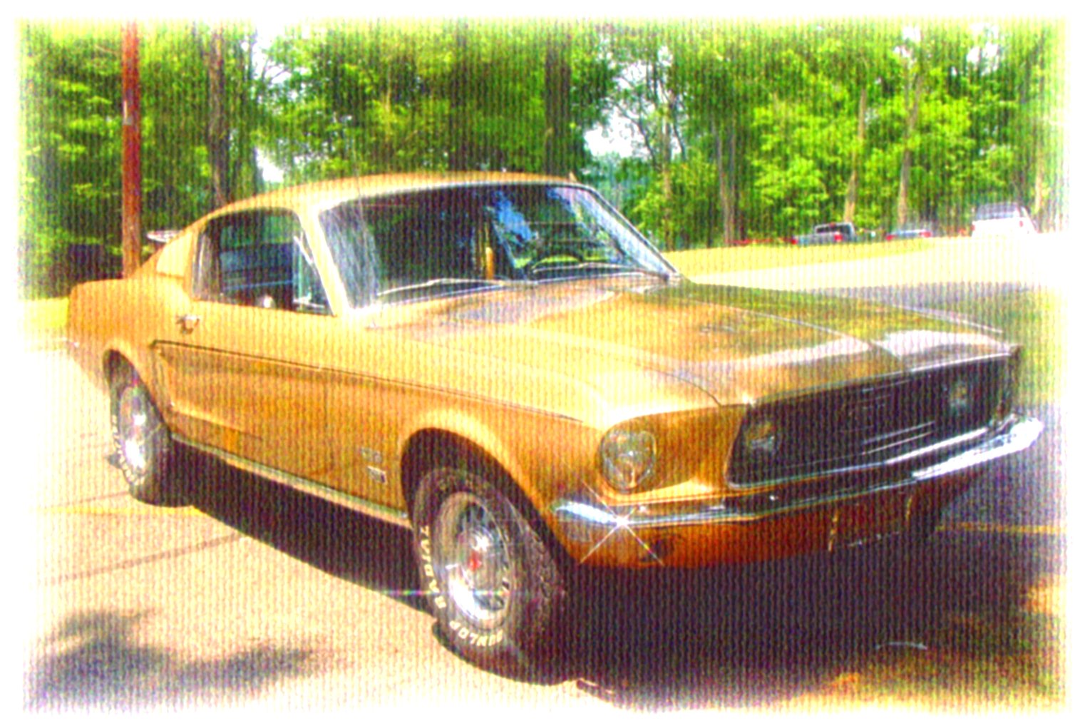 Jim's Pride -n- Joy "1968 428  Mustang GT Fastback"